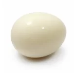 PICKLED EGG